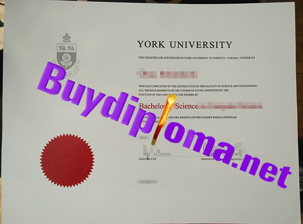 York University diploma, buy fake York University diploma, fake York University degree