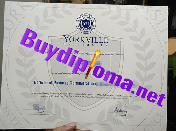 York Ville University diploma, buy fake York Ville University diploma from buydiploma.net