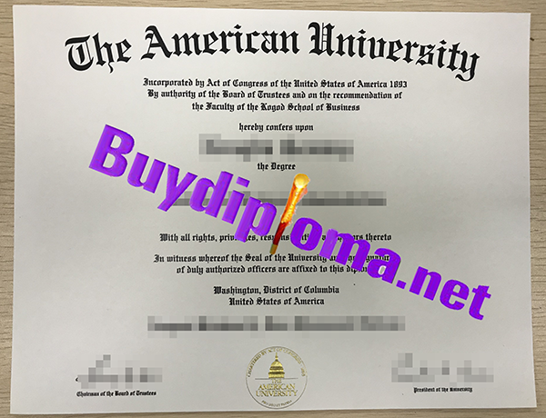 American University degree