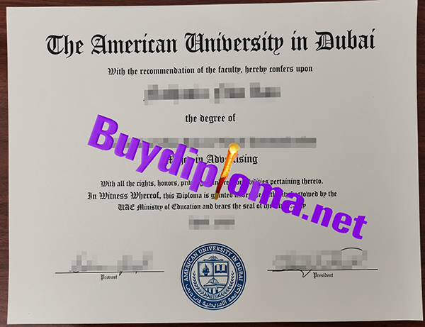 American University In Dubai degree