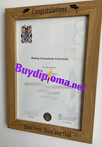 Bishop Grosseteste University degree