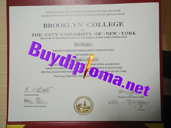 Brooklyn College City University Of New York degree
