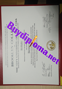 Brooklyn College City University Of New York degree