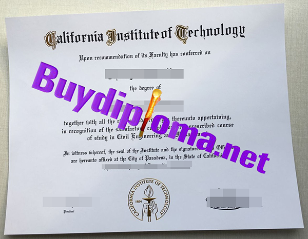 California Institute Technology degree