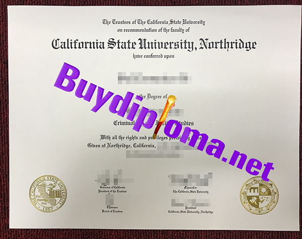 California State University Northridge degree