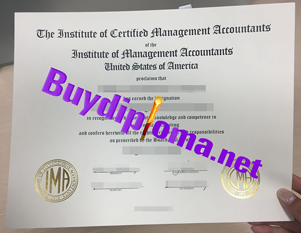 Certified Management Accountant certificate