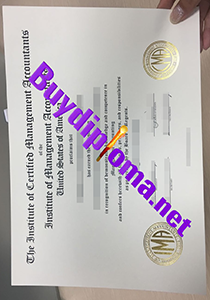 Certified Management Accountant certificate