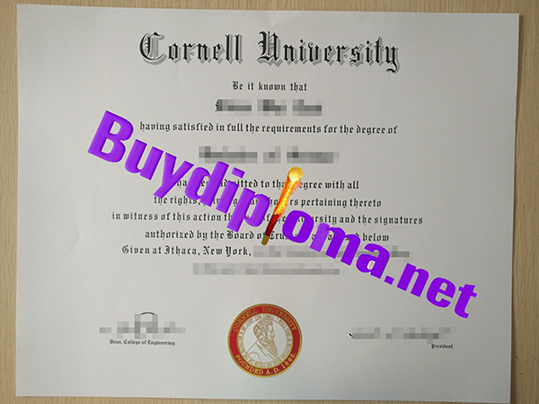 Cornell University degree
