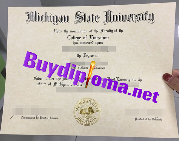 Michigan State University degree