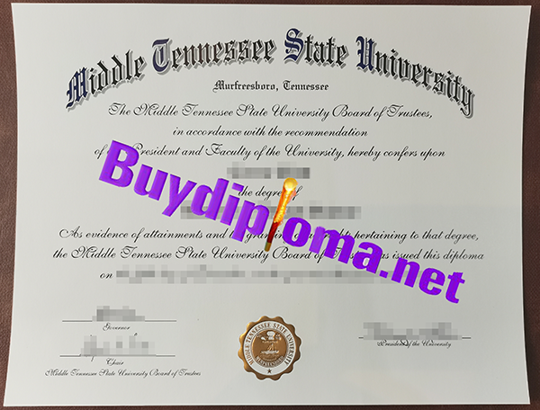 Middle Tennessee State University degree