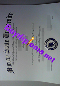 Murray State University degree