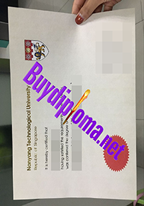 NanYang technological university degree