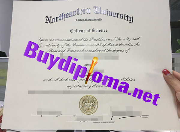Northeastern University degree