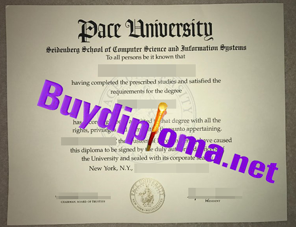 Pace University degree