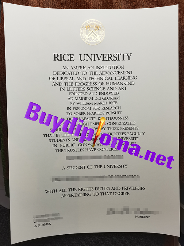 Rice University degree