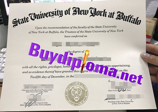 State University Of New York At Buffalo degree