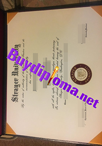 Strayer University degree