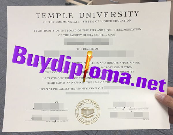 Temple University degree
