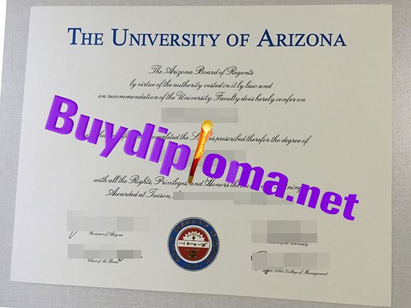The University Of Arizona degree