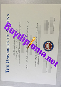 The University Of Arizona degree