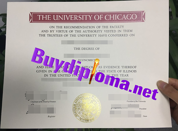 The University Of Chicago degree