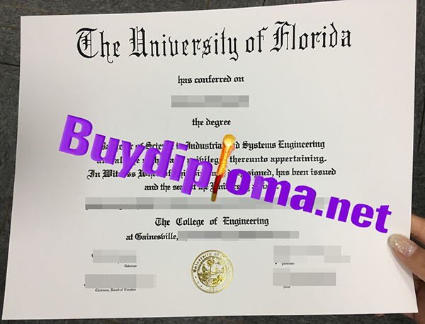 The University Of Florida degree