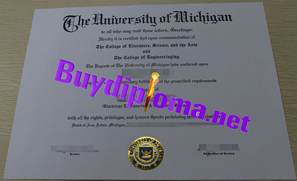 The University Of Michigan degree