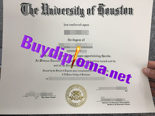 The University of Houston degree