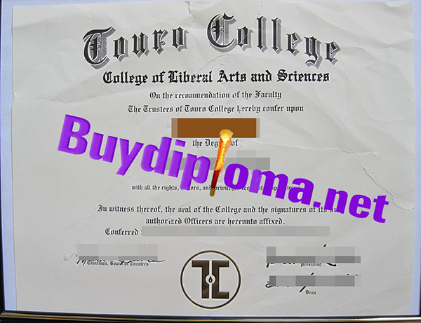 Touro College degree