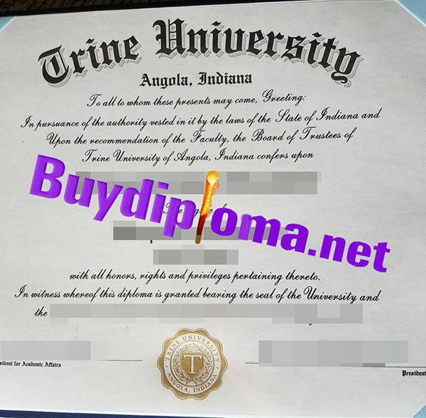 Trine University degree