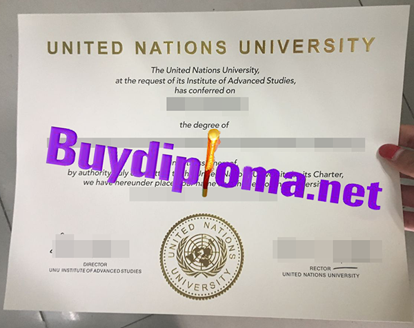 United Nations University degree