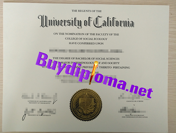 Univeristy of California at Irvine degree