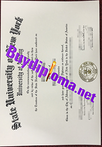 University At Albany degree