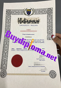 University Malaya degree