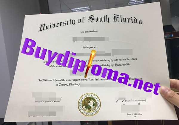 University Of South Florida degree