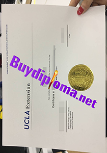 University of California Los Angeles certificate
