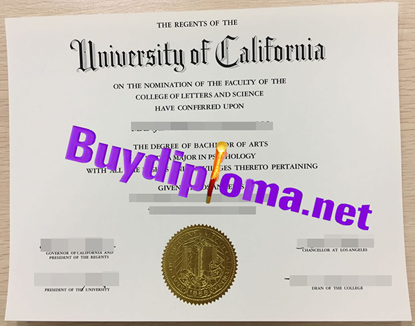University of California Los Angeles degree