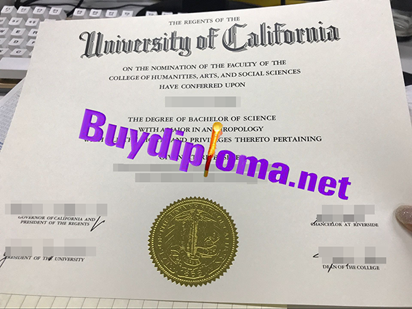 University of California at Riverside degree