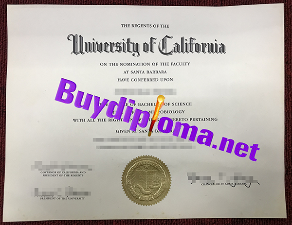 University of California at Santa Barbara degree