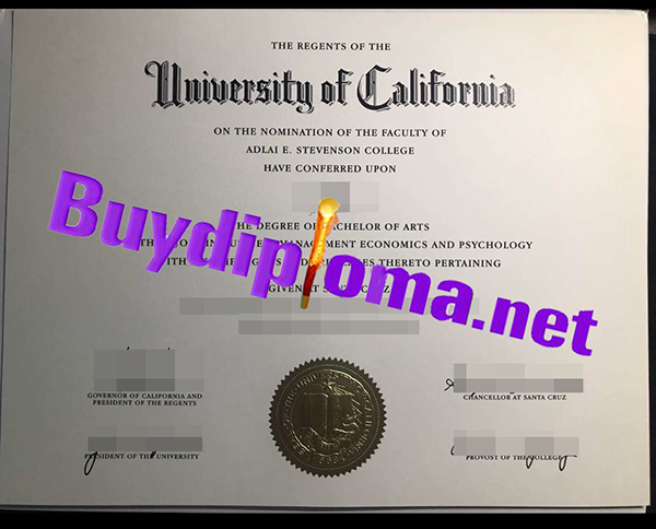 University of California at Santa Cruz degree