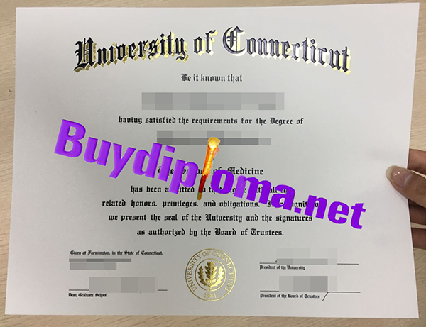 University of Connecticut degree