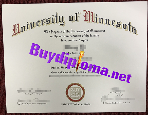 University of Minnesota degree