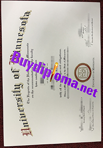 University of Minnesota degree