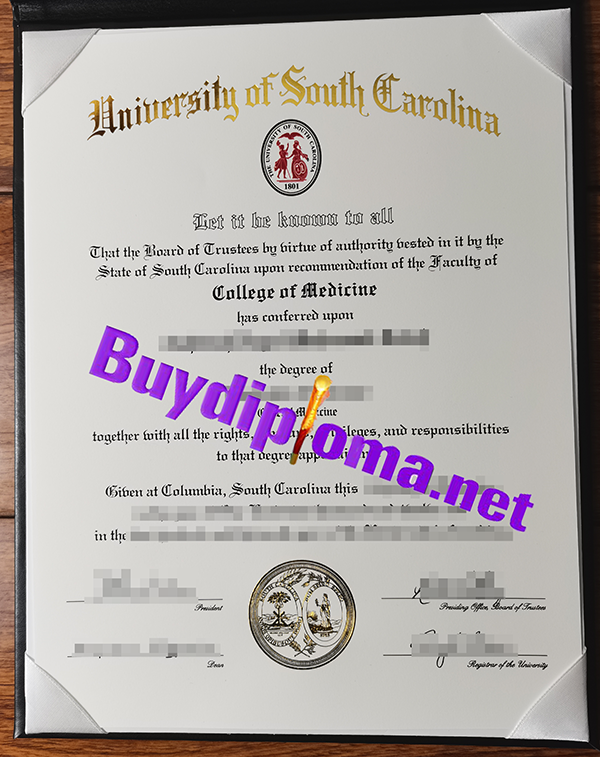 University of South Carolina degree