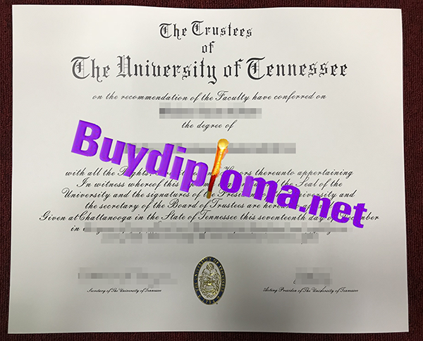 University of Tennessee degree