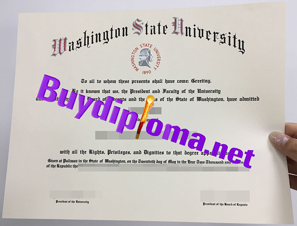 Washington State University degree