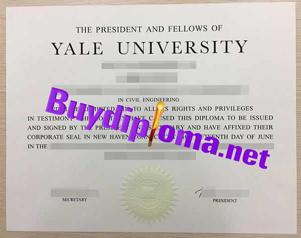 Yale University degree