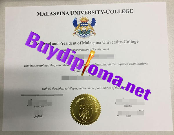 Malaysia University College diploma