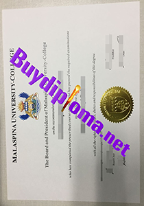 malaysia university college diploma