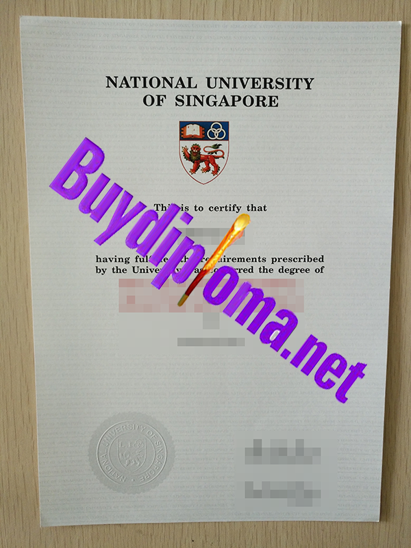 national university of signapore degree